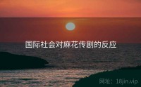 国际社会对麻花传剧的反应